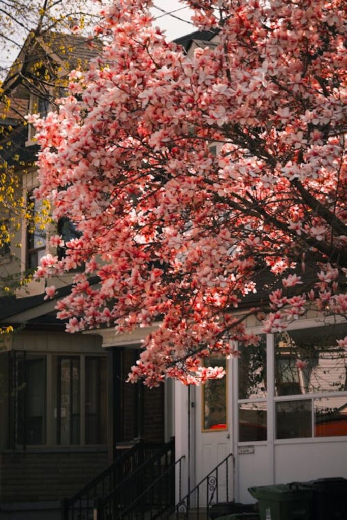 Floral Front Porch Styling