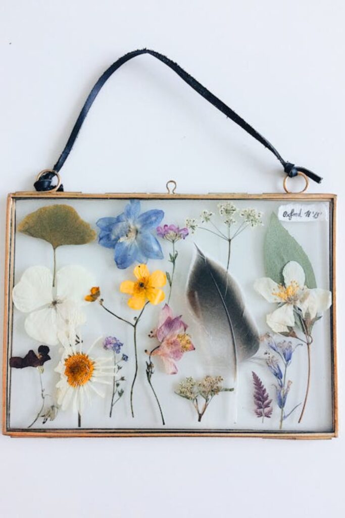 Pressed Flower Art Frames