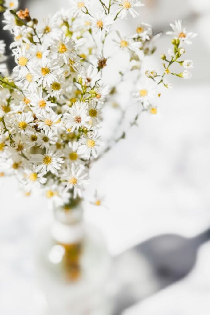 Cherry Blossom Centerpieces