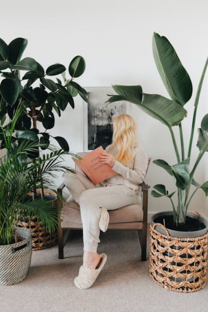 Indoor Plants Decor