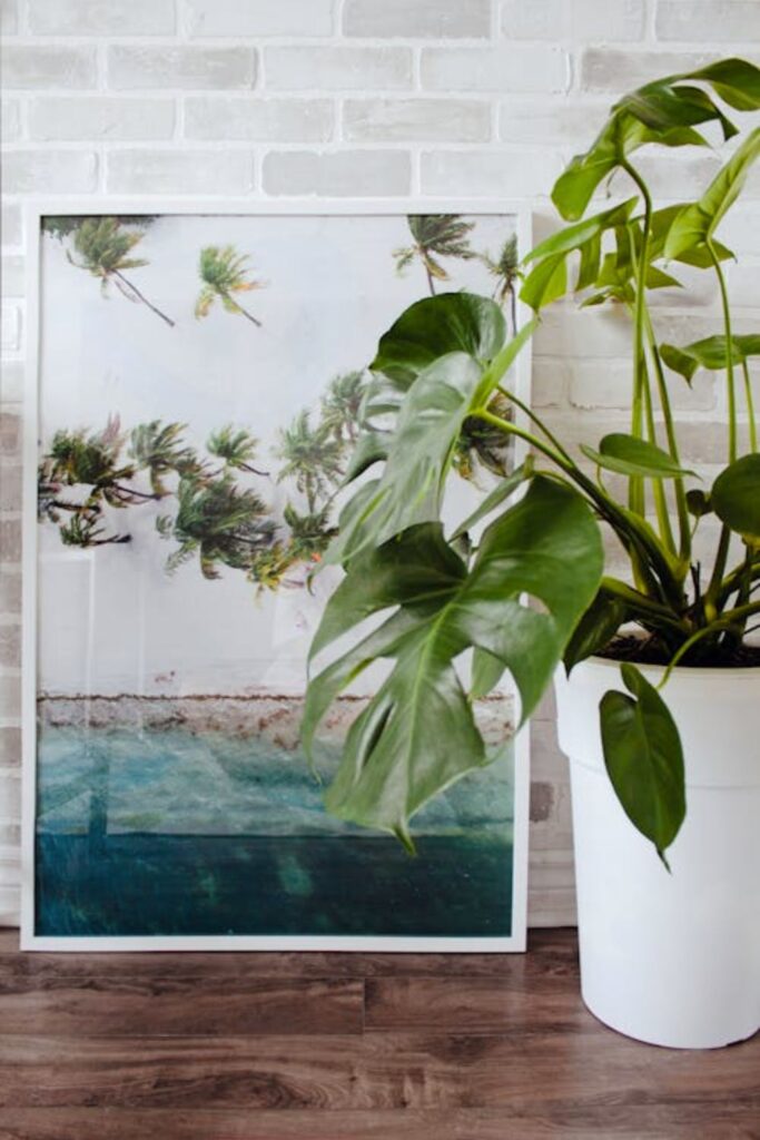 Tropical Wall Art