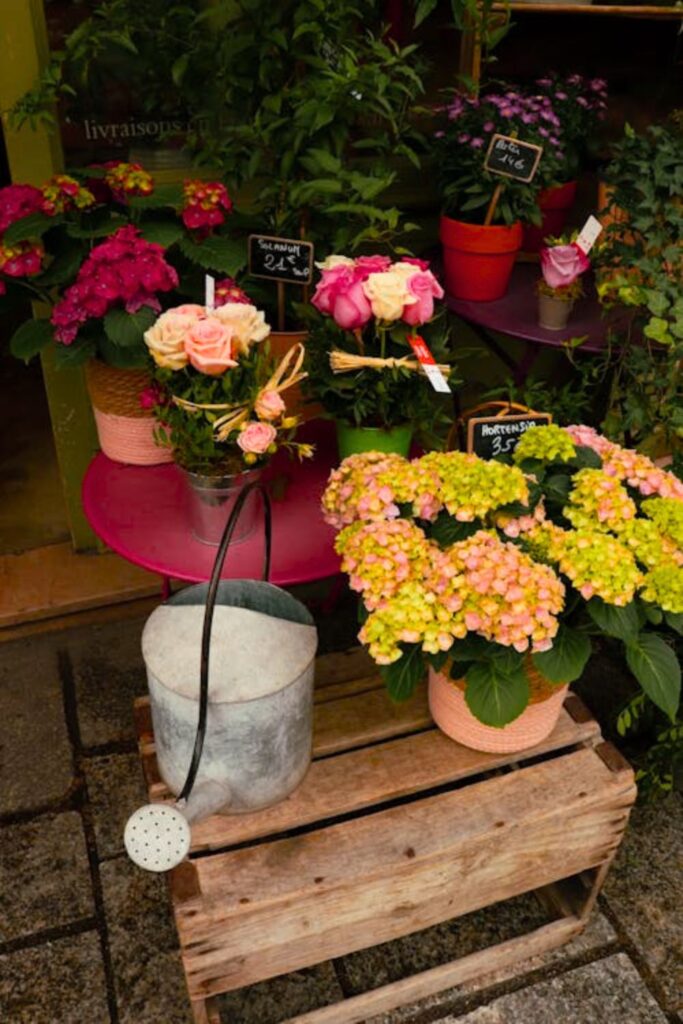 Vintage Watering Can Planters