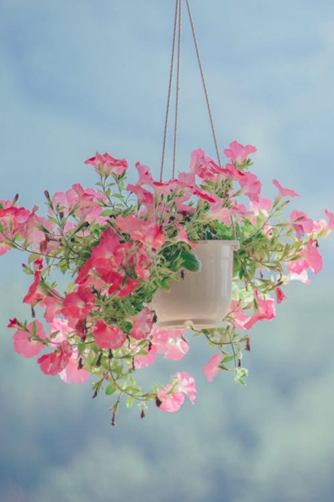 Hanging Flower Hoops
