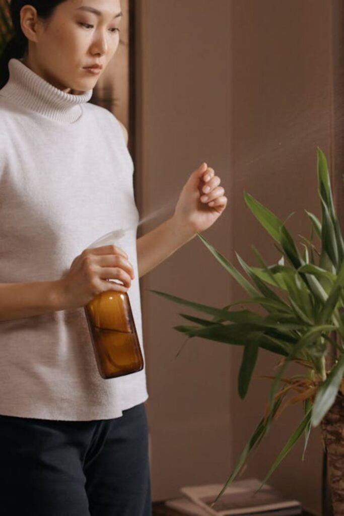 DIY Citrus Air Spray