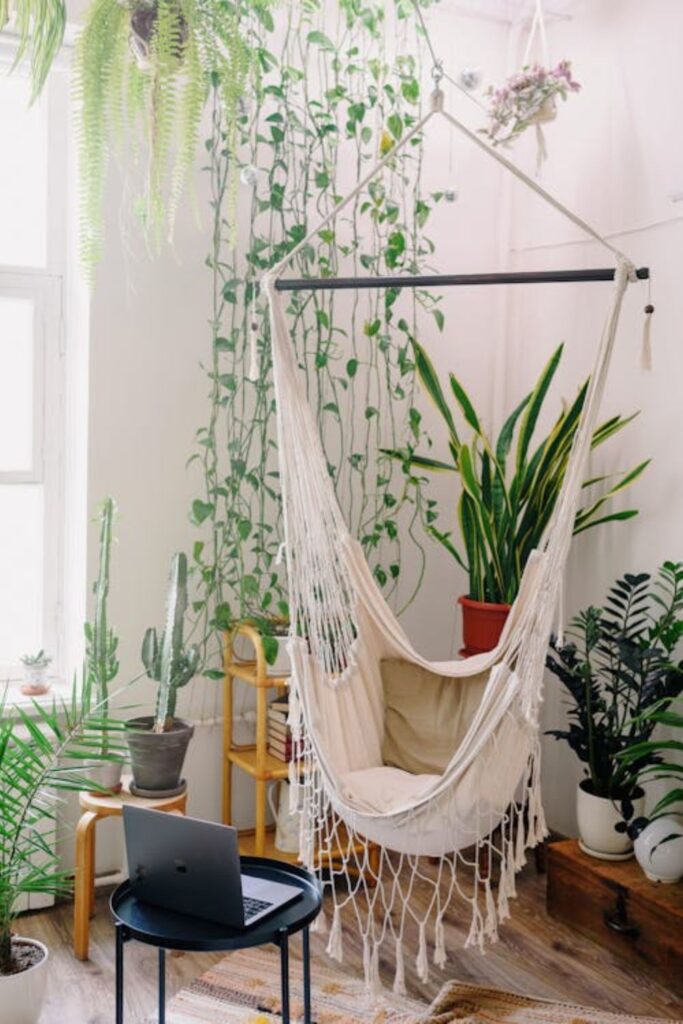 Indoor Plants for Boho Homes