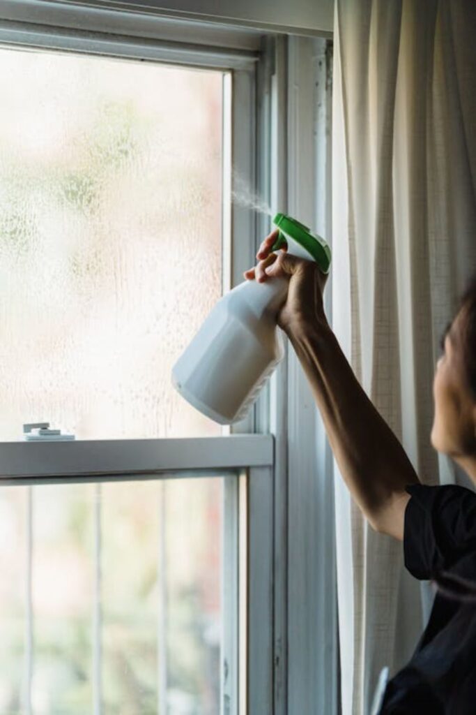 Rubbing Alcohol Spot Cleaner