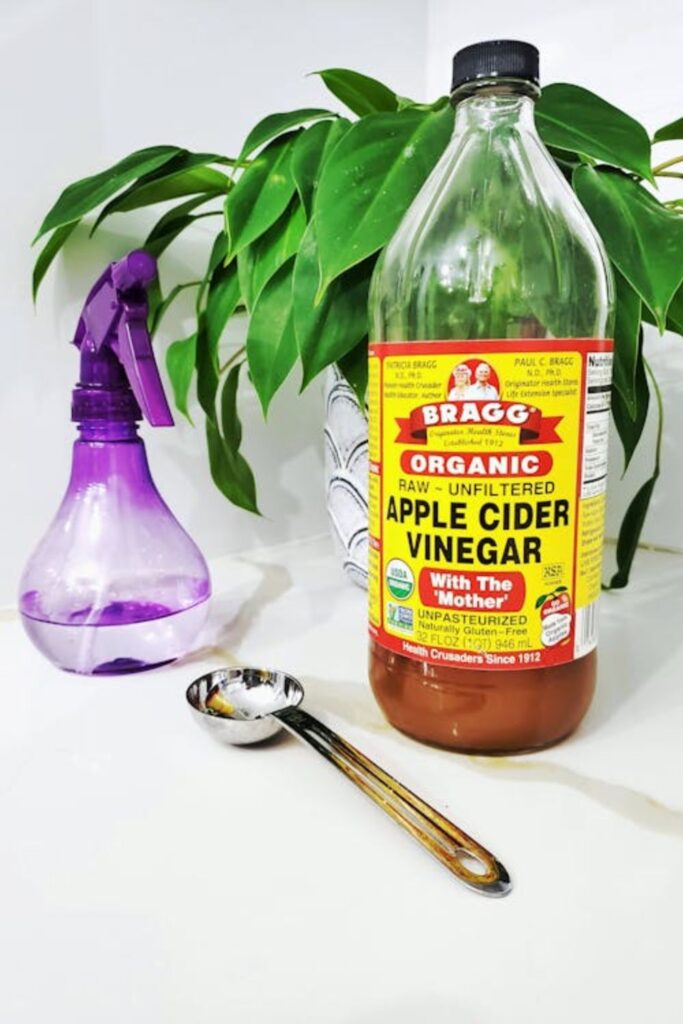 Vinegar and Water Solution